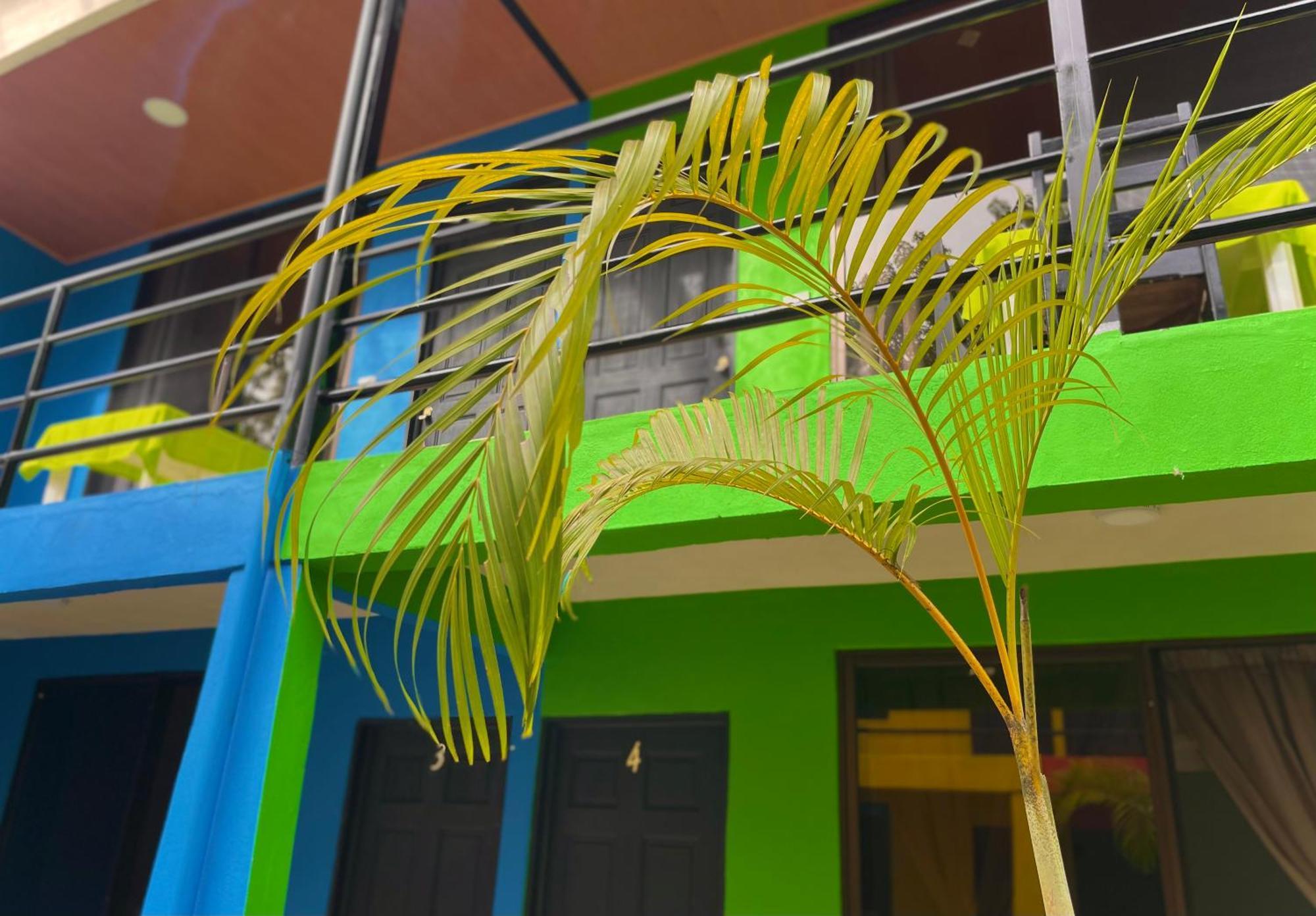 Carey Lodging Tortuguero Exterior foto